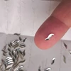 Swarovski Hullám formájú strasszkő_product