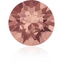 Blush Rose